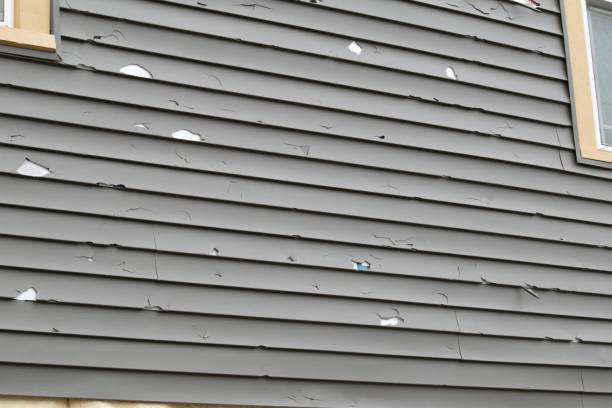 Best Stucco Siding  in Orland Hls, IL