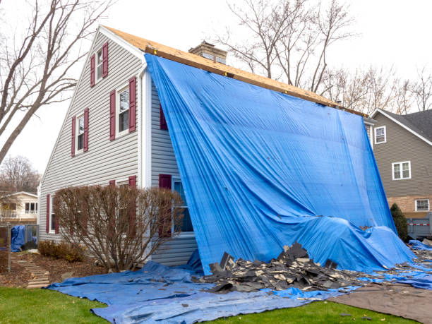 Best Fascia and Soffit Installation  in Orland Hls, IL